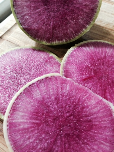 The magical colors of the watermelon radish